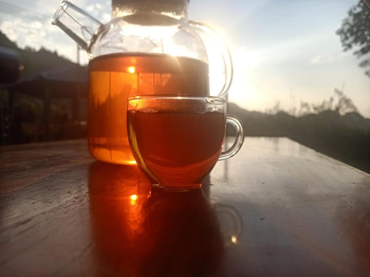 Long Co Tran - Homestay&Tea Ceremony Loung Co ภายนอก รูปภาพ